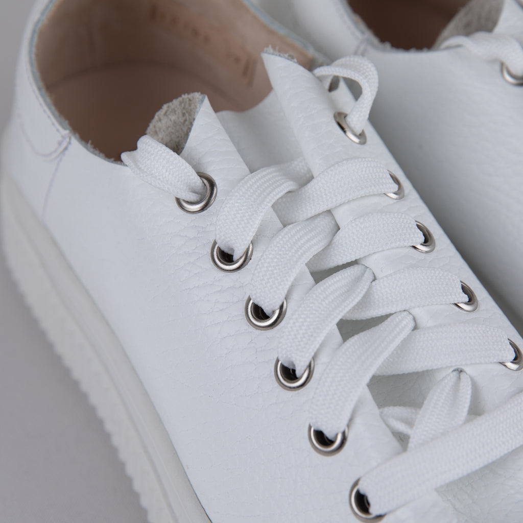 Tenis piel Blanc